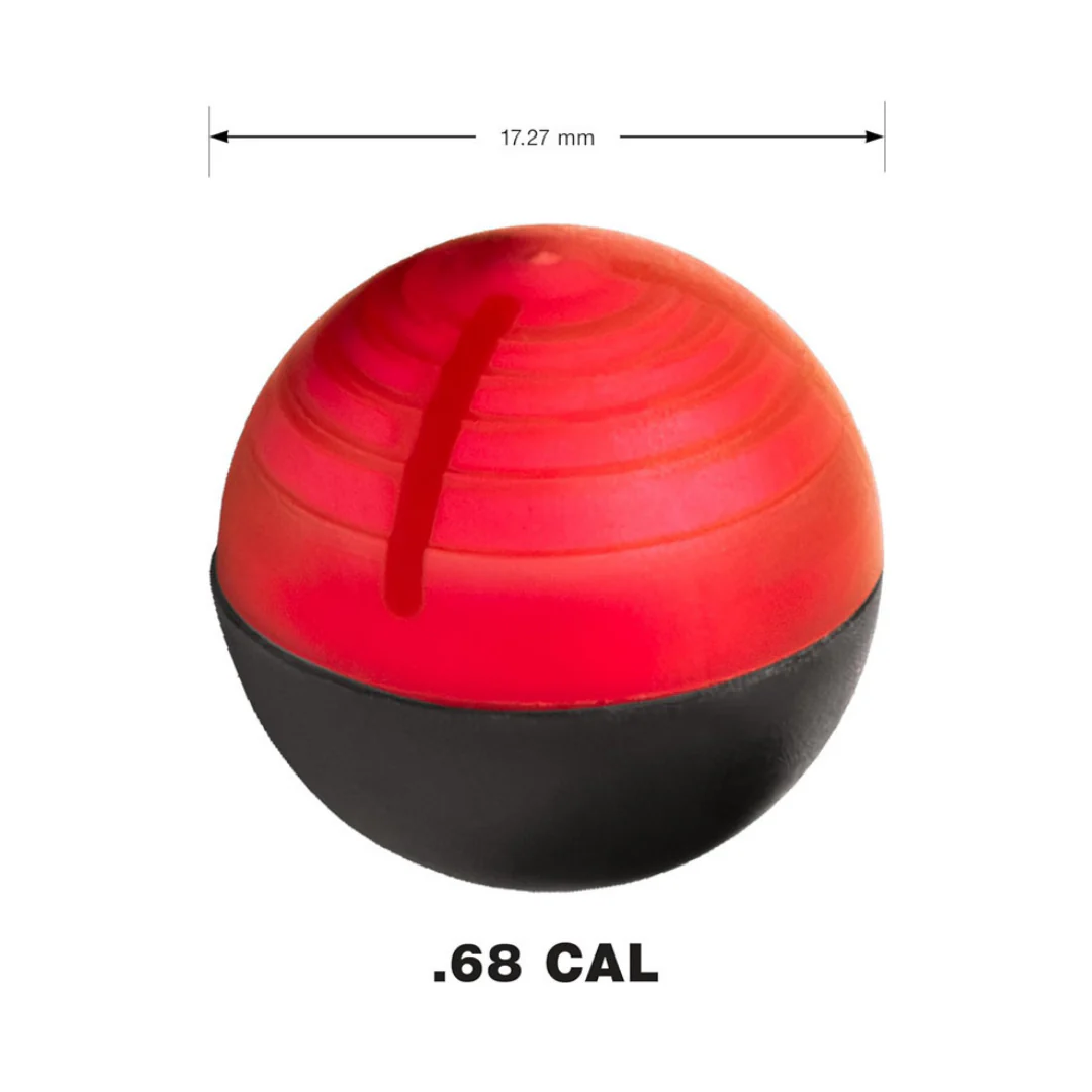 Miniatura 8