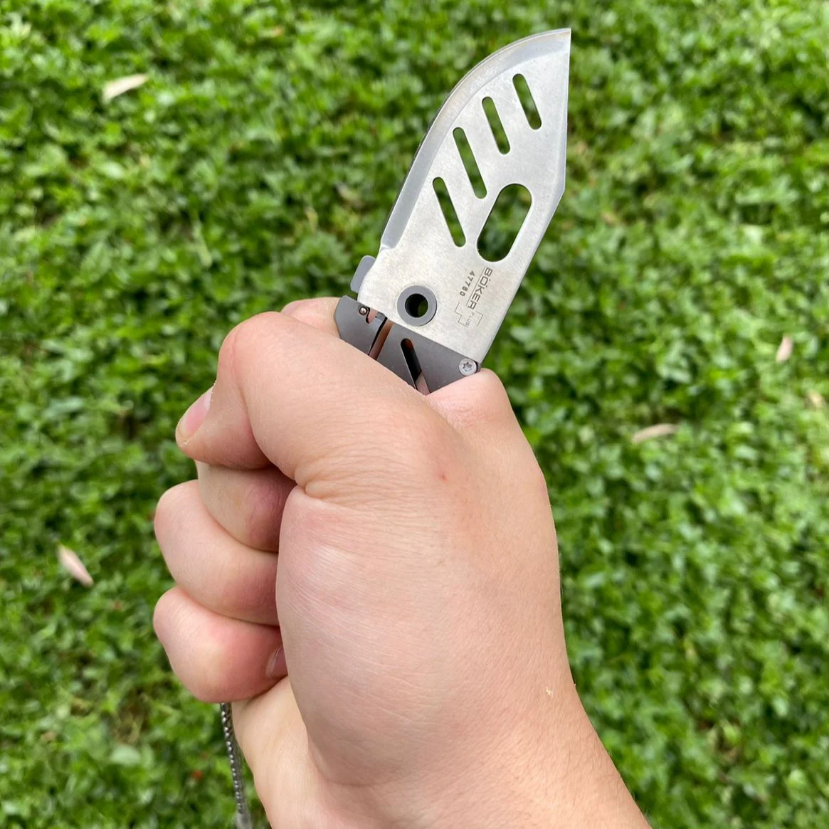 Miniatura 8