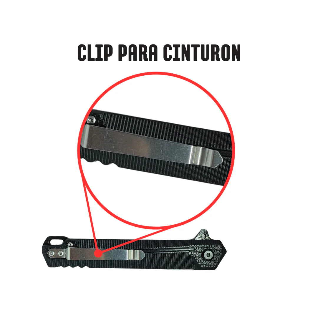 Miniatura 12